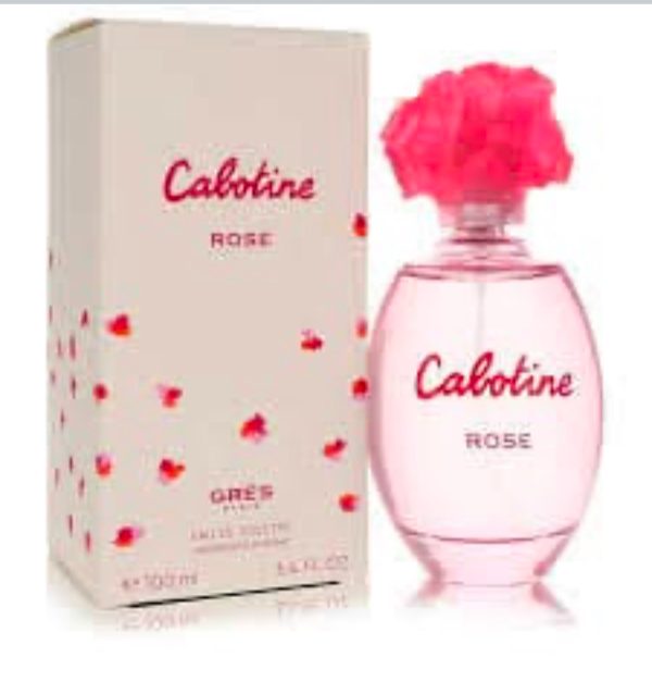 Cabotine Rose